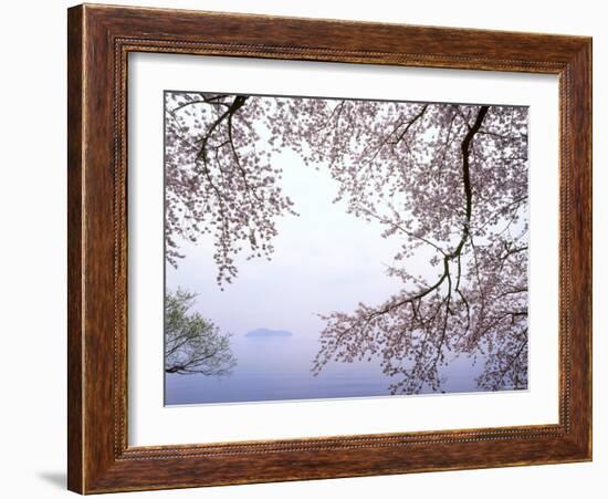 Cherry Blossoms and Lake Biwa-null-Framed Photographic Print