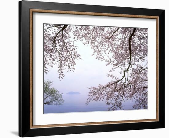 Cherry Blossoms and Lake Biwa-null-Framed Photographic Print