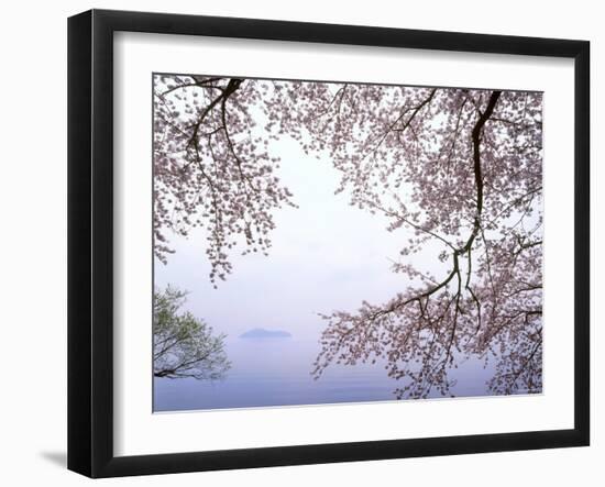 Cherry Blossoms and Lake Biwa-null-Framed Photographic Print