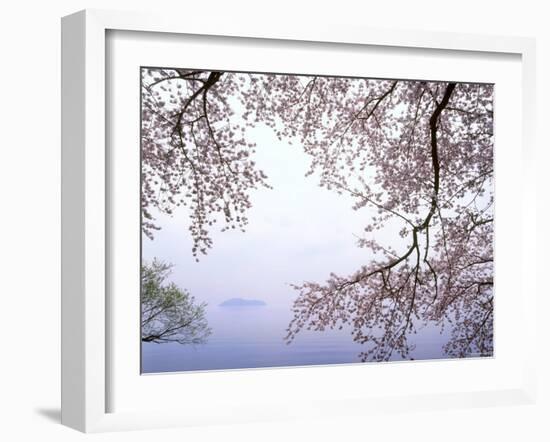 Cherry Blossoms and Lake Biwa-null-Framed Photographic Print