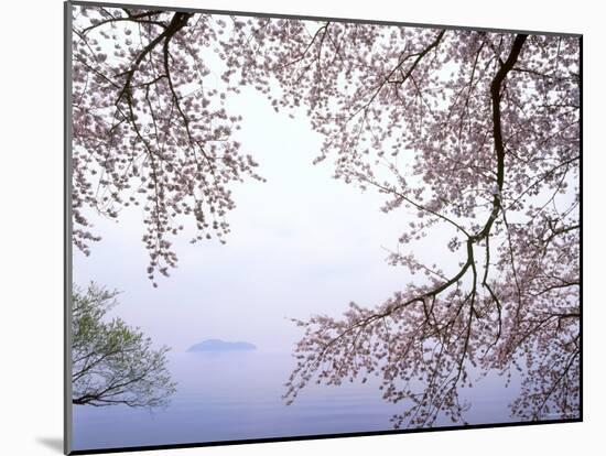 Cherry Blossoms and Lake Biwa-null-Mounted Photographic Print