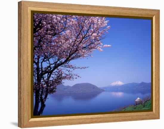 Cherry Blossoms and Lake Toyah-null-Framed Premier Image Canvas