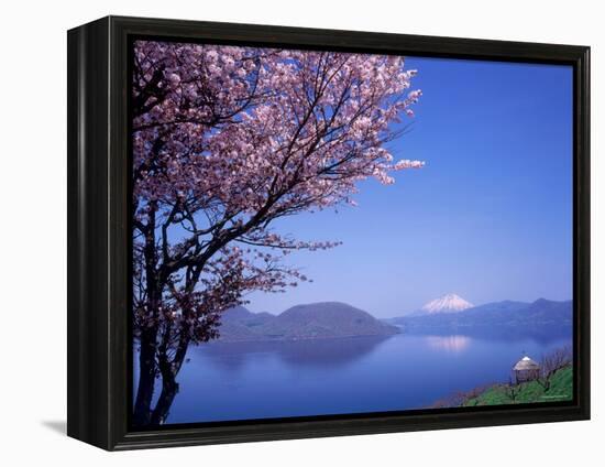 Cherry Blossoms and Lake Toyah-null-Framed Premier Image Canvas