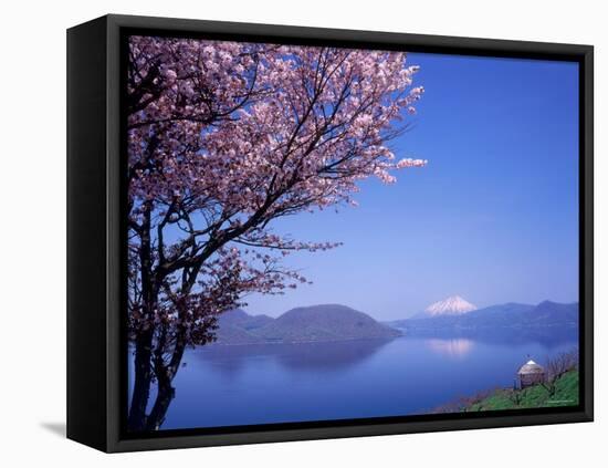 Cherry Blossoms and Lake Toyah-null-Framed Premier Image Canvas