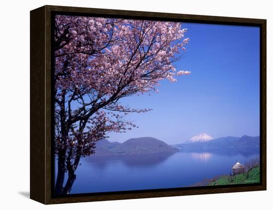 Cherry Blossoms and Lake Toyah-null-Framed Premier Image Canvas