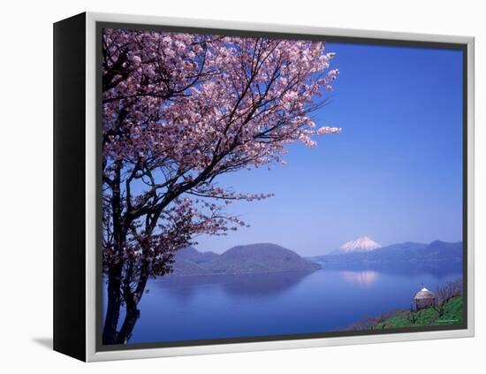 Cherry Blossoms and Lake Toyah-null-Framed Premier Image Canvas