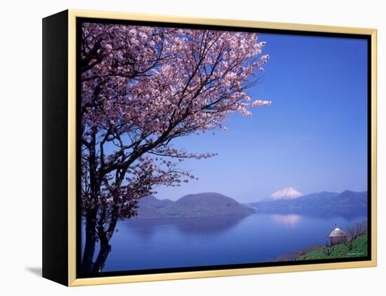 Cherry Blossoms and Lake Toyah-null-Framed Premier Image Canvas