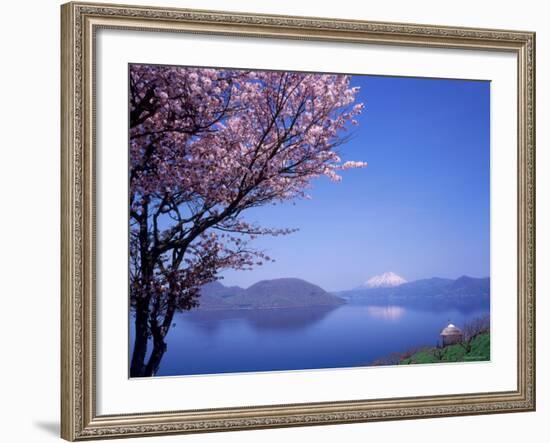 Cherry Blossoms and Lake Toyah-null-Framed Photographic Print