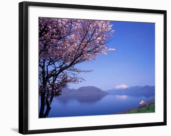 Cherry Blossoms and Lake Toyah-null-Framed Photographic Print