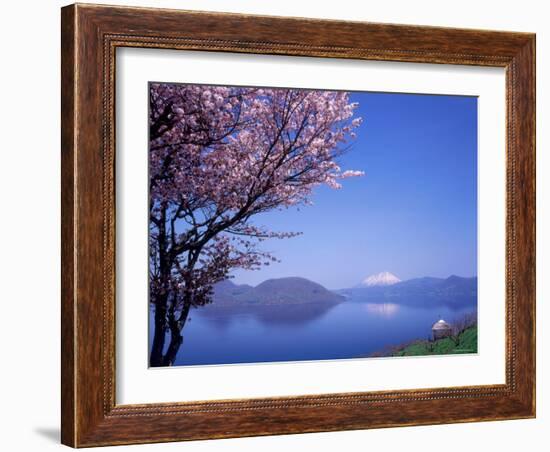 Cherry Blossoms and Lake Toyah-null-Framed Photographic Print