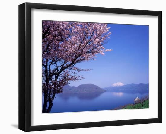Cherry Blossoms and Lake Toyah-null-Framed Photographic Print