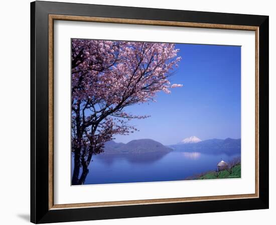 Cherry Blossoms and Lake Toyah-null-Framed Photographic Print