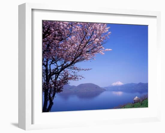 Cherry Blossoms and Lake Toyah-null-Framed Photographic Print