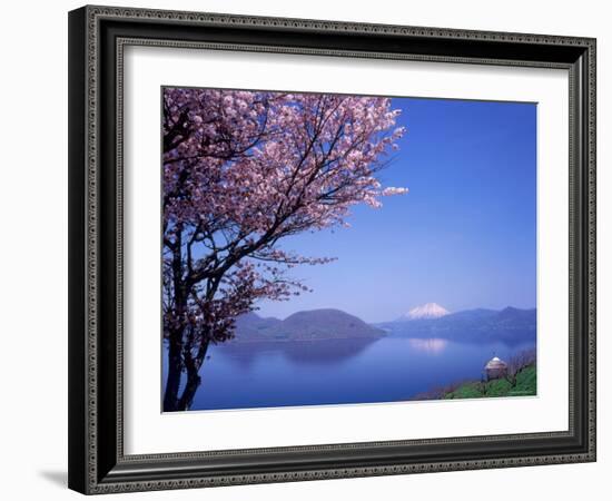 Cherry Blossoms and Lake Toyah-null-Framed Photographic Print