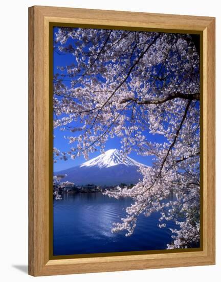 Cherry Blossoms and Mt. Fuji-null-Framed Premier Image Canvas