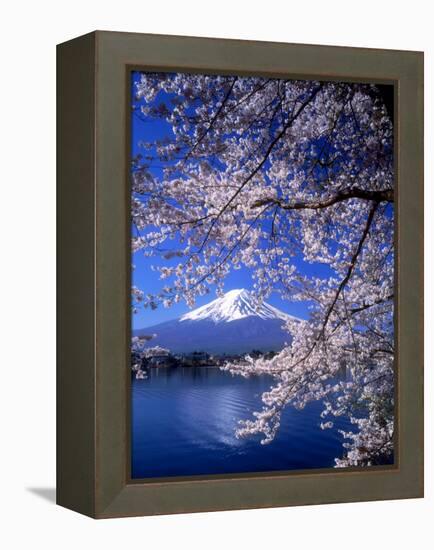 Cherry Blossoms and Mt. Fuji-null-Framed Premier Image Canvas