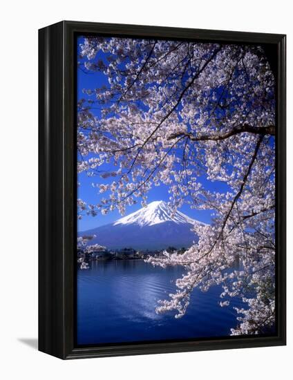 Cherry Blossoms and Mt. Fuji-null-Framed Premier Image Canvas