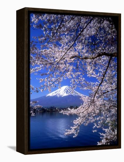 Cherry Blossoms and Mt. Fuji-null-Framed Premier Image Canvas