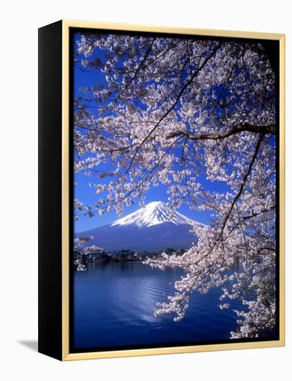 Cherry Blossoms and Mt. Fuji-null-Framed Premier Image Canvas