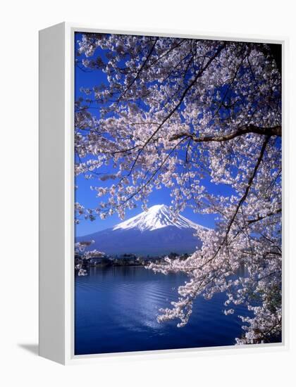 Cherry Blossoms and Mt. Fuji-null-Framed Premier Image Canvas