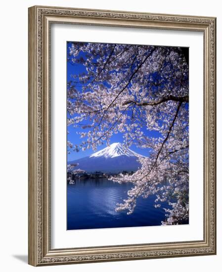 Cherry Blossoms and Mt. Fuji-null-Framed Photographic Print