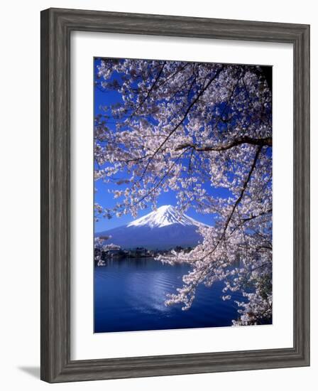 Cherry Blossoms and Mt. Fuji-null-Framed Photographic Print