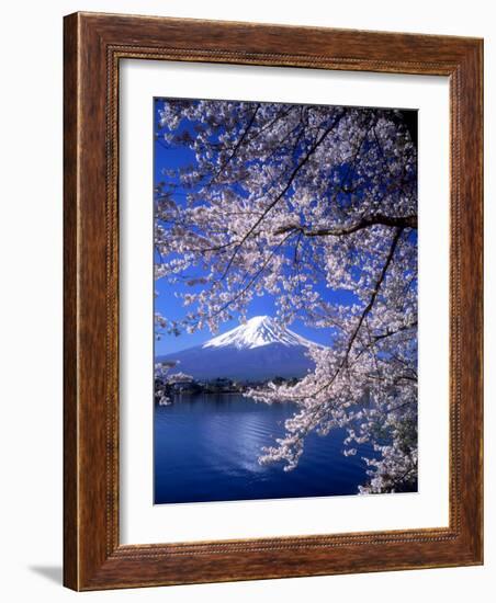 Cherry Blossoms and Mt. Fuji-null-Framed Photographic Print