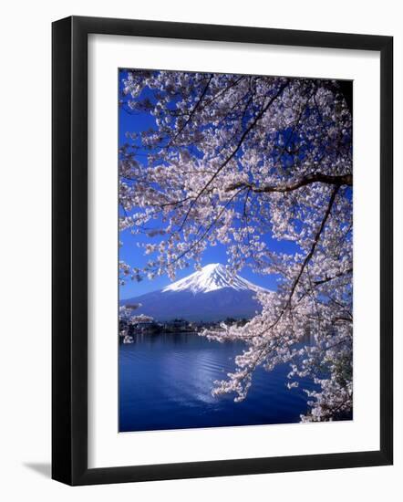 Cherry Blossoms and Mt. Fuji-null-Framed Photographic Print