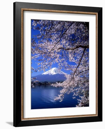 Cherry Blossoms and Mt. Fuji-null-Framed Photographic Print