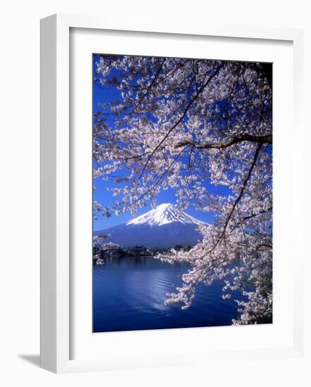 Cherry Blossoms and Mt. Fuji-null-Framed Photographic Print