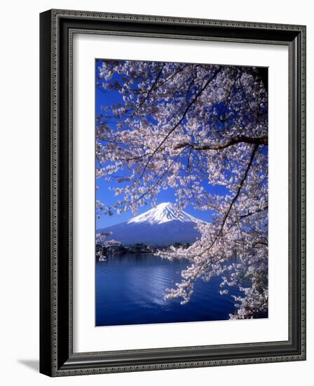 Cherry Blossoms and Mt. Fuji-null-Framed Photographic Print