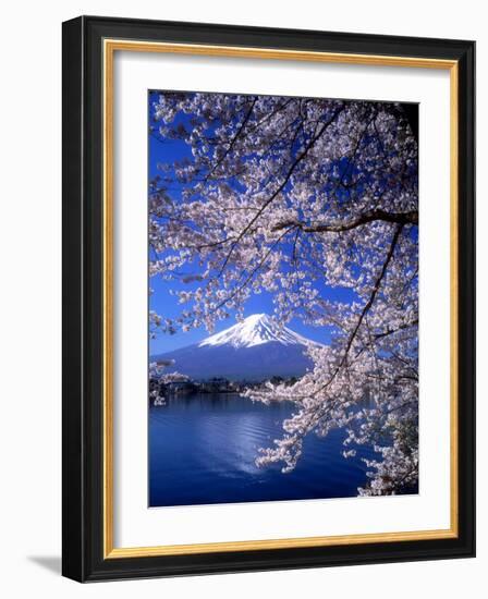 Cherry Blossoms and Mt. Fuji-null-Framed Photographic Print