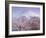 Cherry Blossoms and Mt. Fuji-null-Framed Photographic Print