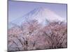 Cherry Blossoms and Mt. Fuji-null-Mounted Photographic Print