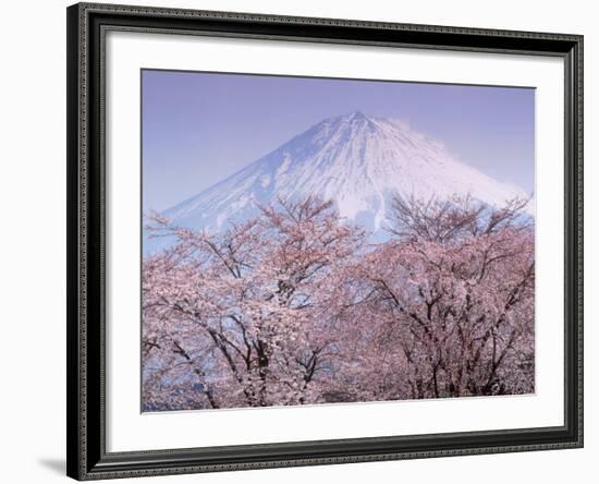 Cherry Blossoms and Mt. Fuji-null-Framed Photographic Print