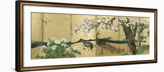 Cherry Blossoms and Peacocks-Kano Sansetsu-Framed Art Print