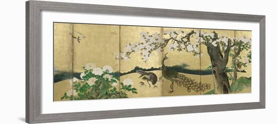 Cherry Blossoms and Peacocks-Kano Sansetsu-Framed Art Print