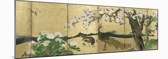 Cherry Blossoms and Peacocks-Kano Sansetsu-Mounted Art Print