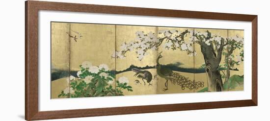 Cherry Blossoms and Peacocks-Kano Sansetsu-Framed Art Print
