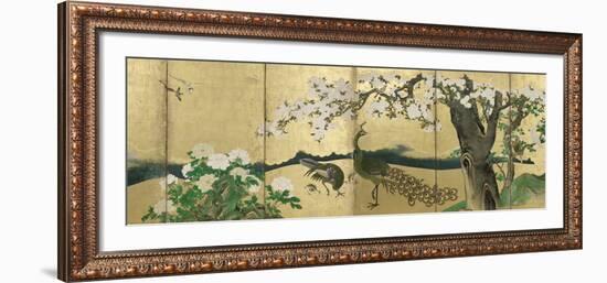 Cherry Blossoms and Peacocks-Kano Sansetsu-Framed Art Print