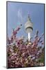 Cherry Blossoms and Television Tower, Hamburg, Germany, Europe-Axel Schmies-Mounted Photographic Print