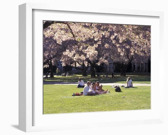 Cherry Blossoms and Trees in the Quad, University of Washington, Seattle, Washington, USA-Connie Ricca-Framed Photographic Print