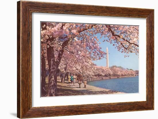 Cherry Blossoms and Washington Monument, Washington, D.C.-null-Framed Art Print