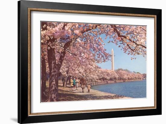 Cherry Blossoms and Washington Monument, Washington, D.C.-null-Framed Art Print