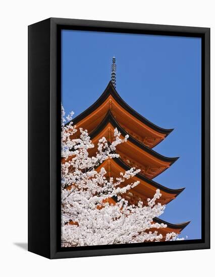 Cherry Blossoms at Itsukushima Jinja Shrine-Rudy Sulgan-Framed Premier Image Canvas