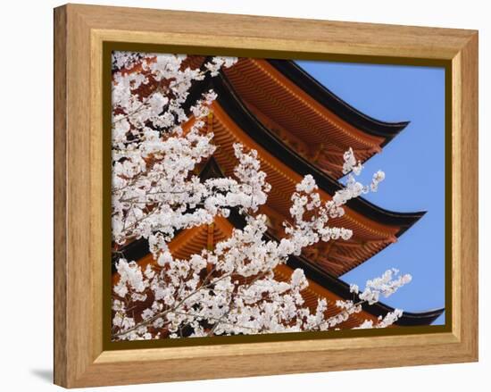 Cherry Blossoms at Itsukushima Jinja Shrine-Rudy Sulgan-Framed Premier Image Canvas