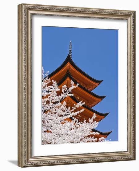 Cherry Blossoms at Itsukushima Jinja Shrine-Rudy Sulgan-Framed Photographic Print