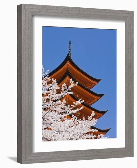 Cherry Blossoms at Itsukushima Jinja Shrine-Rudy Sulgan-Framed Photographic Print