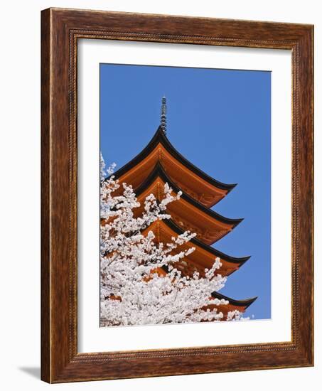 Cherry Blossoms at Itsukushima Jinja Shrine-Rudy Sulgan-Framed Photographic Print