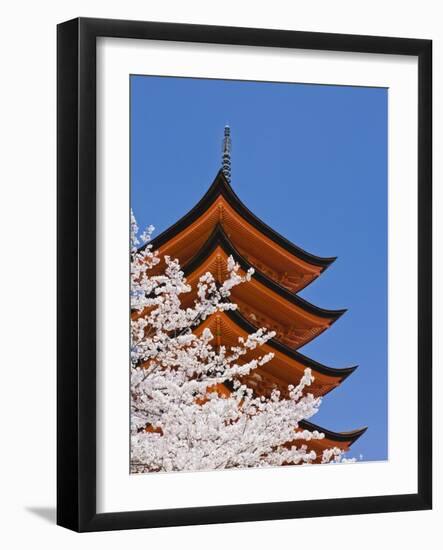 Cherry Blossoms at Itsukushima Jinja Shrine-Rudy Sulgan-Framed Photographic Print